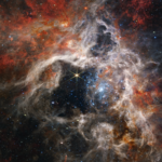 Lives lived between microscope and telescope
